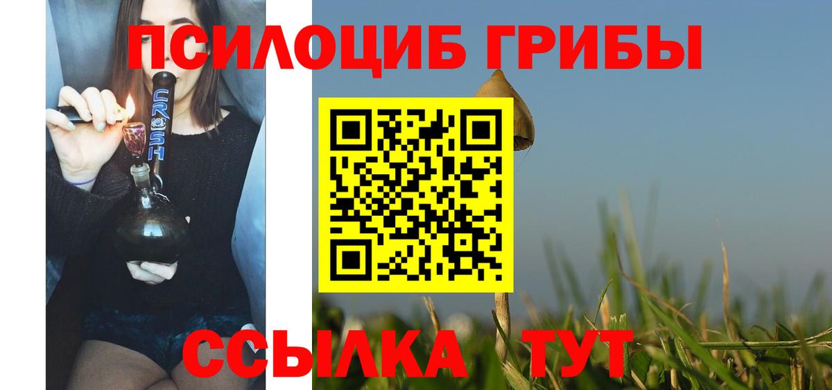 Псилоцибиновые грибы Psilocybe  как найти наркотики  Всеволожск  Вход с VPN 